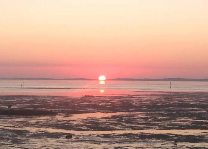 T2 Haut De Gamme Avec Vue Bassin